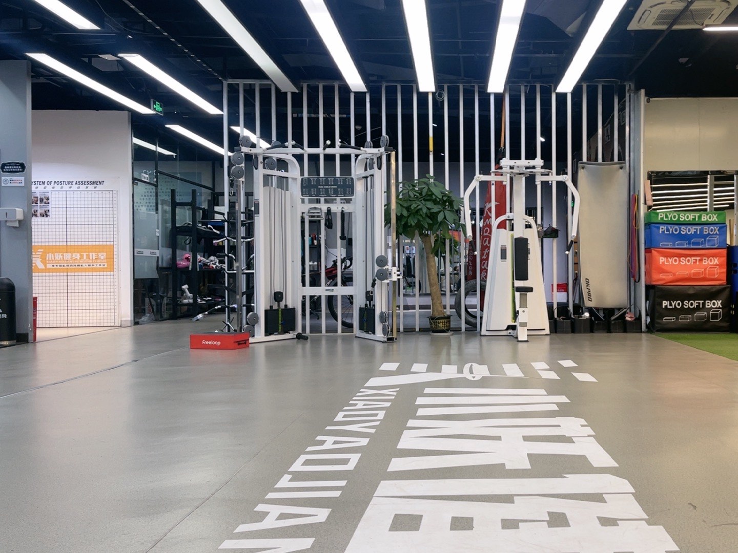 健身房锻炼之旅，与教练的互动体验-第2张图片