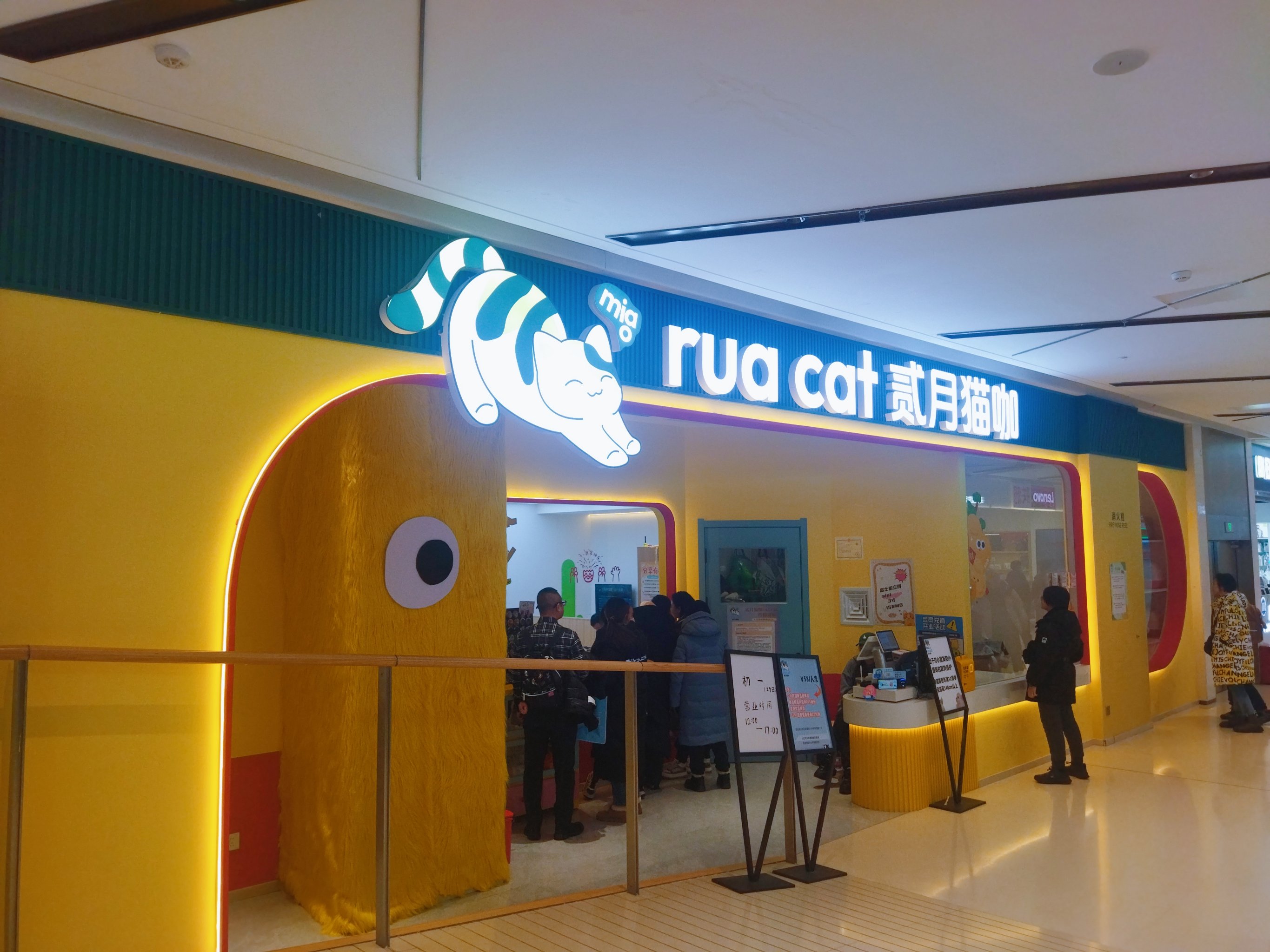 猫咪社区官方在线入口——探索与体验的乐园