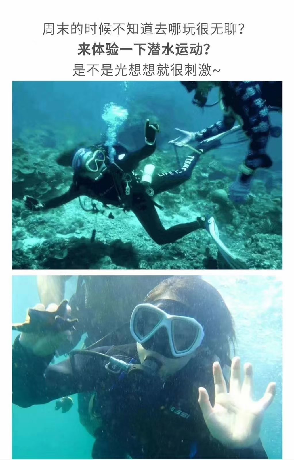 飞鱼娱乐项目是什么飞鱼娱乐项目，探索海洋的极限娱乐