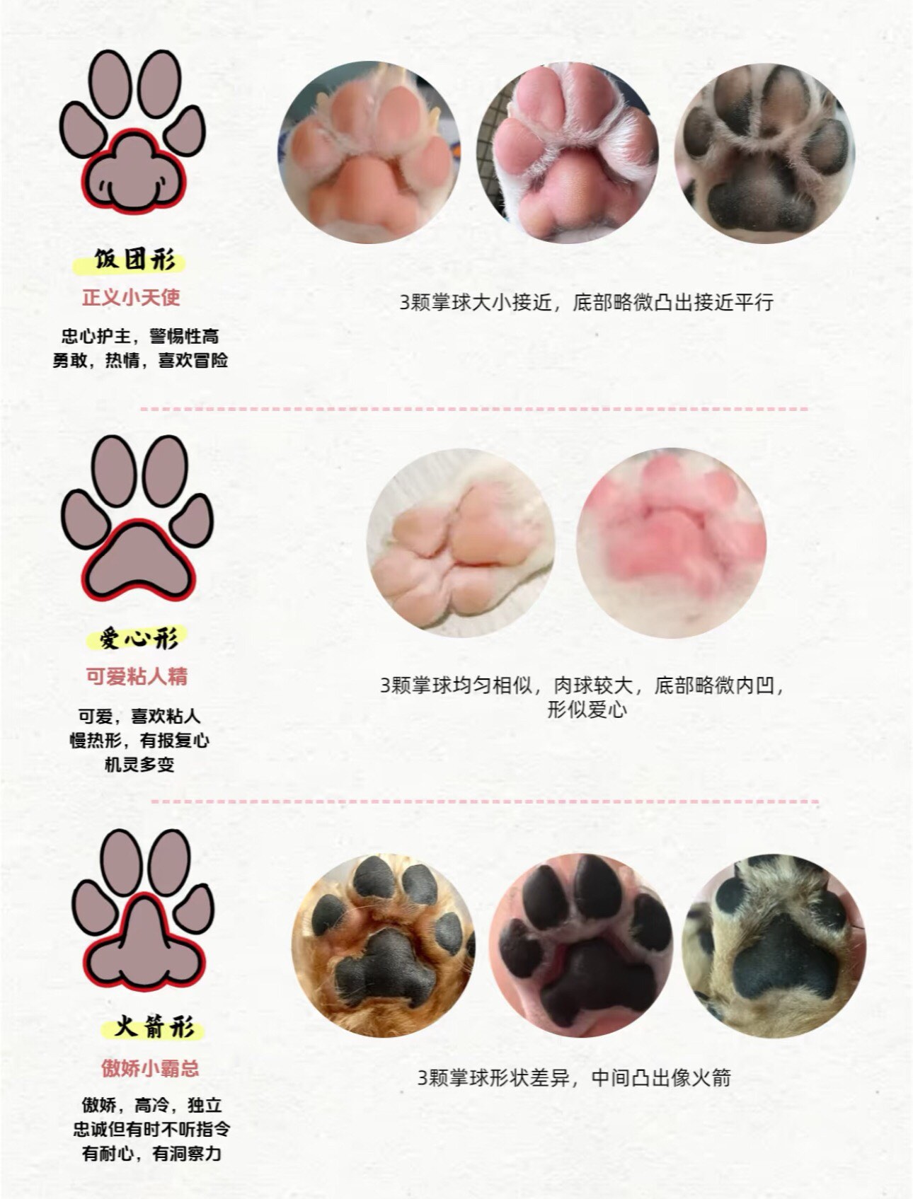 狗头上单天赋探索狗头上单天赋的奥秘
