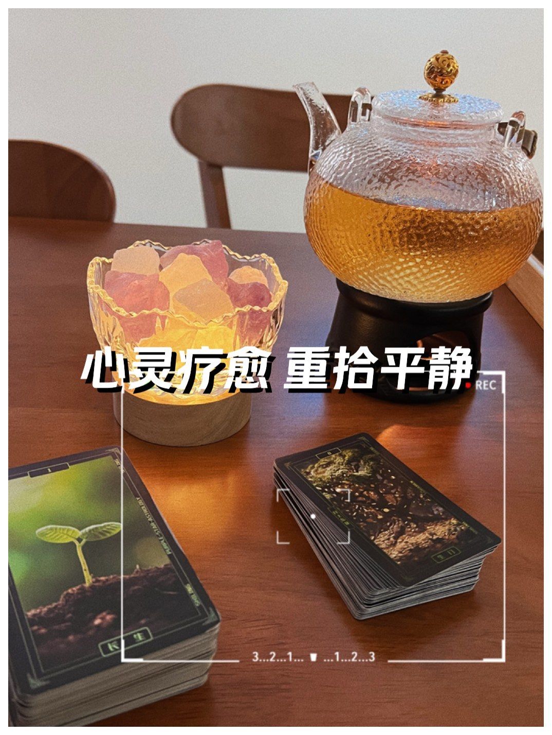 lr 宝宝LR宝宝，成长之路的独特印记