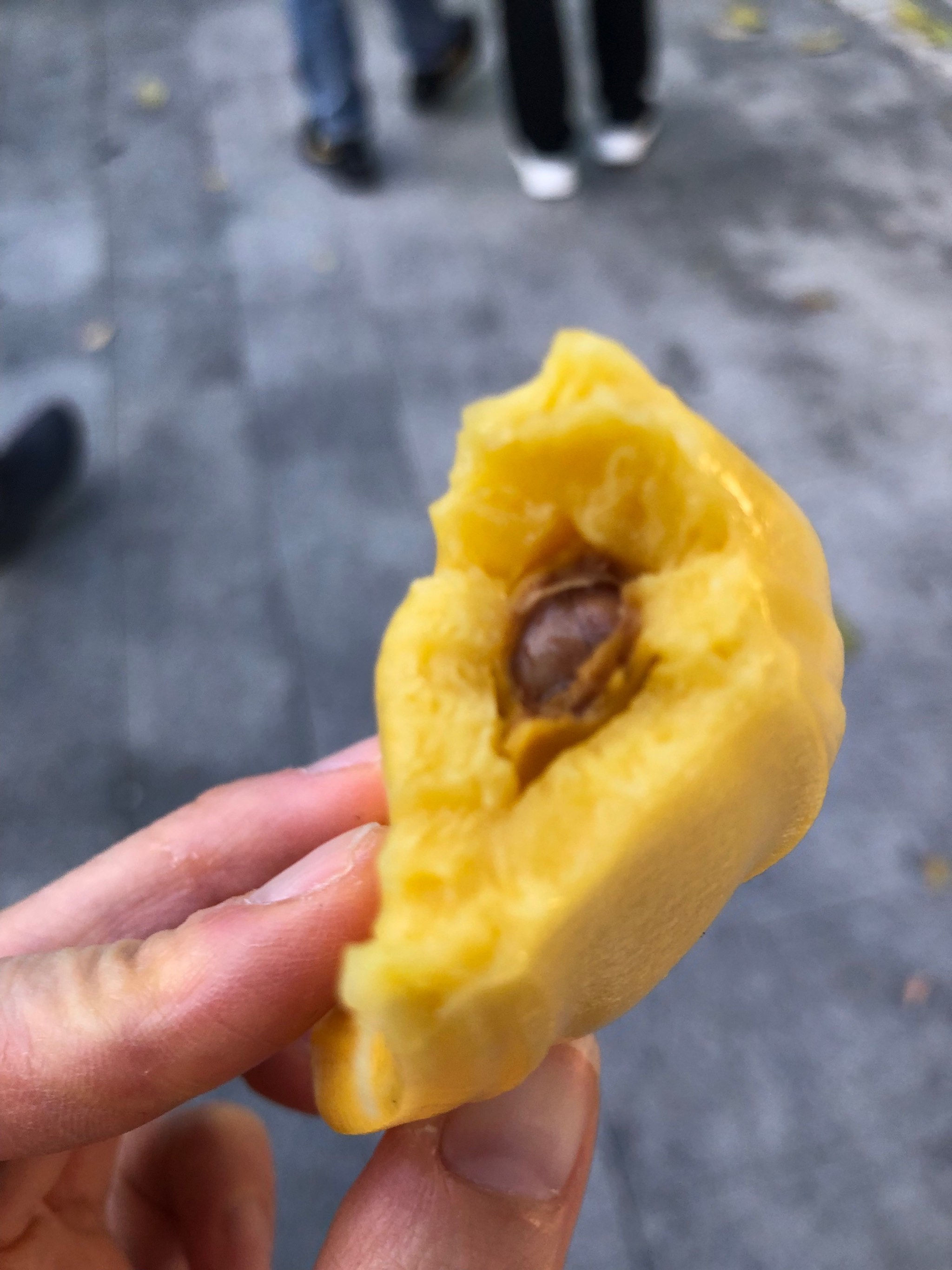 菠萝蜜在线观看视频高清5菠萝蜜在线观看视频高清5的体验与探索-第2张图片