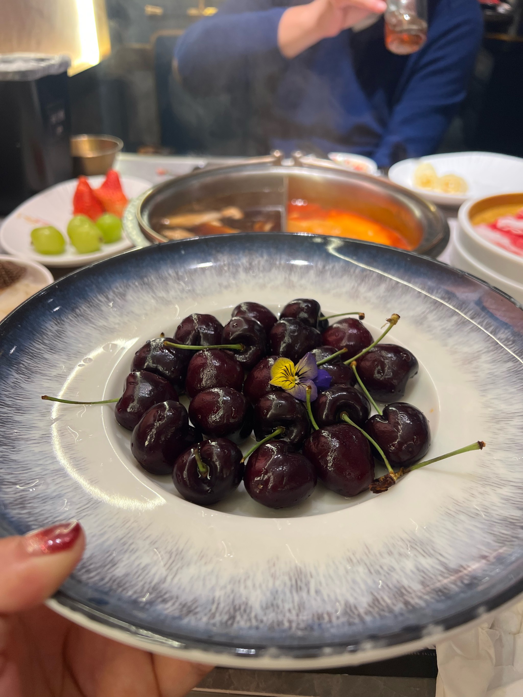 草莓、榴莲、向日葵与秋葵的奇妙世界，一份全面指南