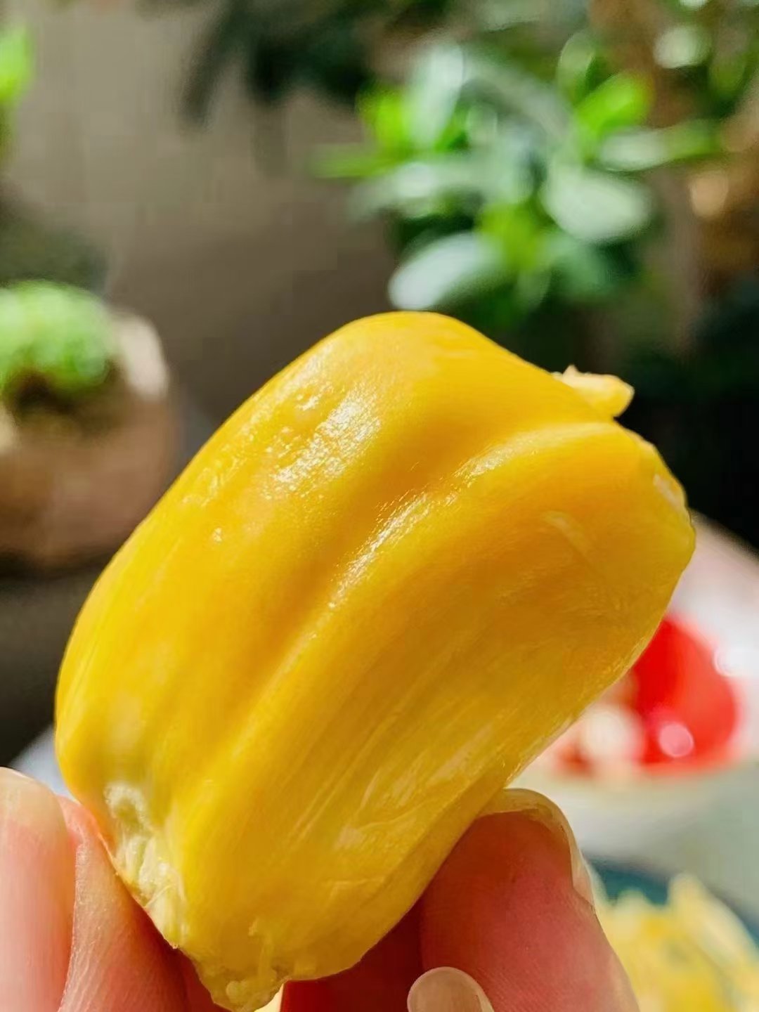 菠萝菠萝蜜高清视频免费6菠萝菠萝蜜高清视频免费分享-第3张图片