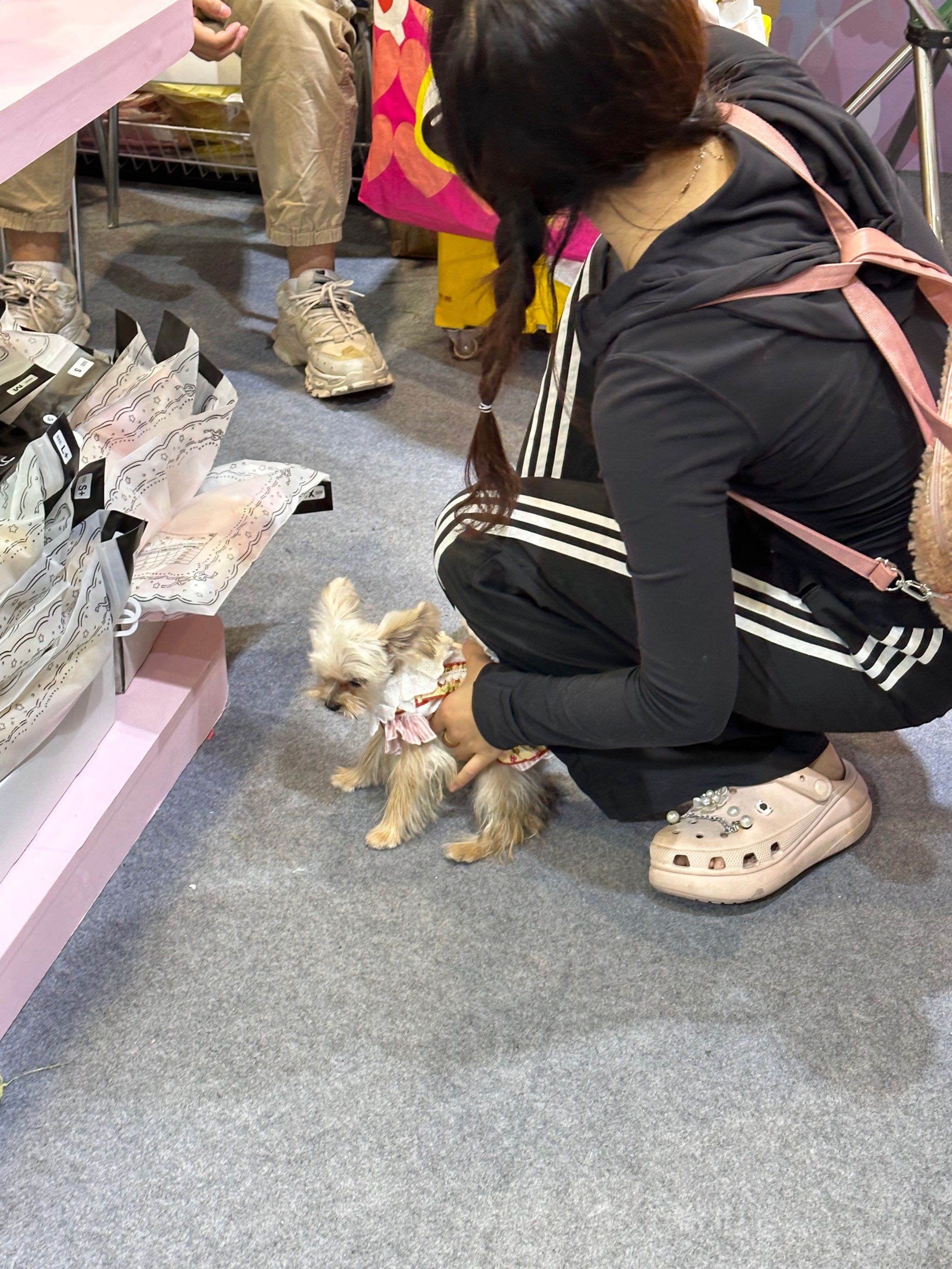 12岁女生的小兔子长什么样12岁女生的小兔子，萌态可掬的可爱模样-第2张图片