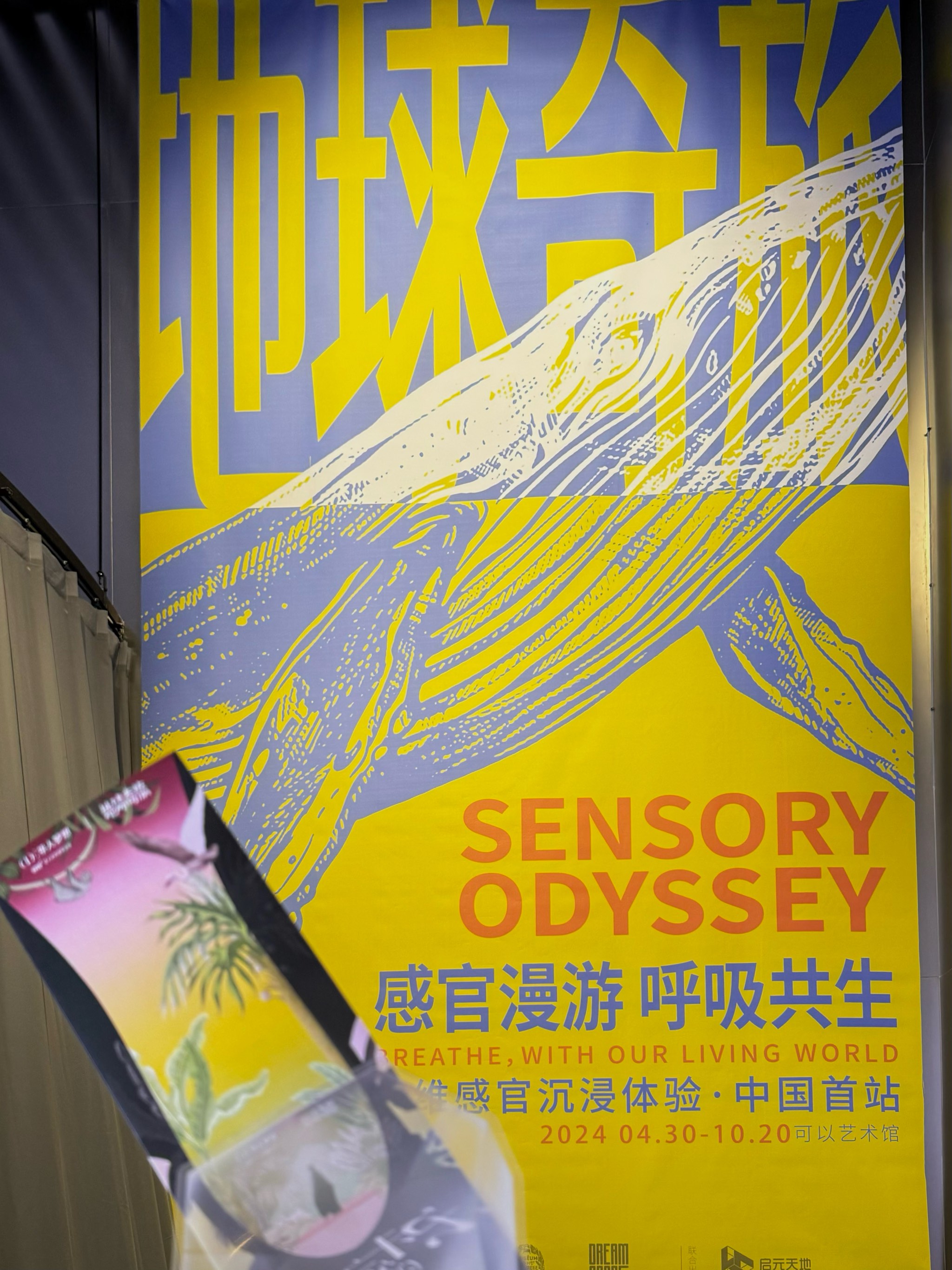 亚洲精品卡一卡2卡3卡4卡探索亚洲精品卡系列，一卡、二卡、三卡、四卡的魅力之旅