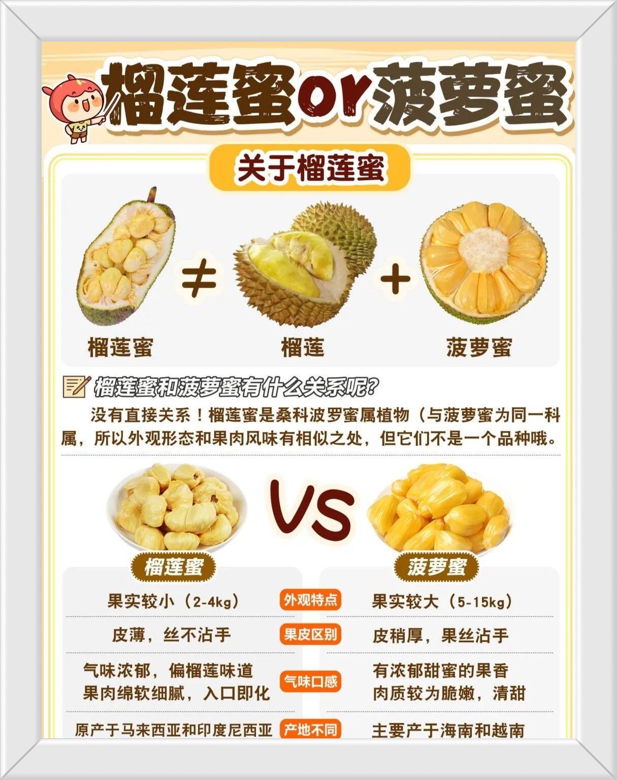 菠萝菠萝蜜视频免费看5菠萝菠萝蜜视频免费观看指南-第3张图片