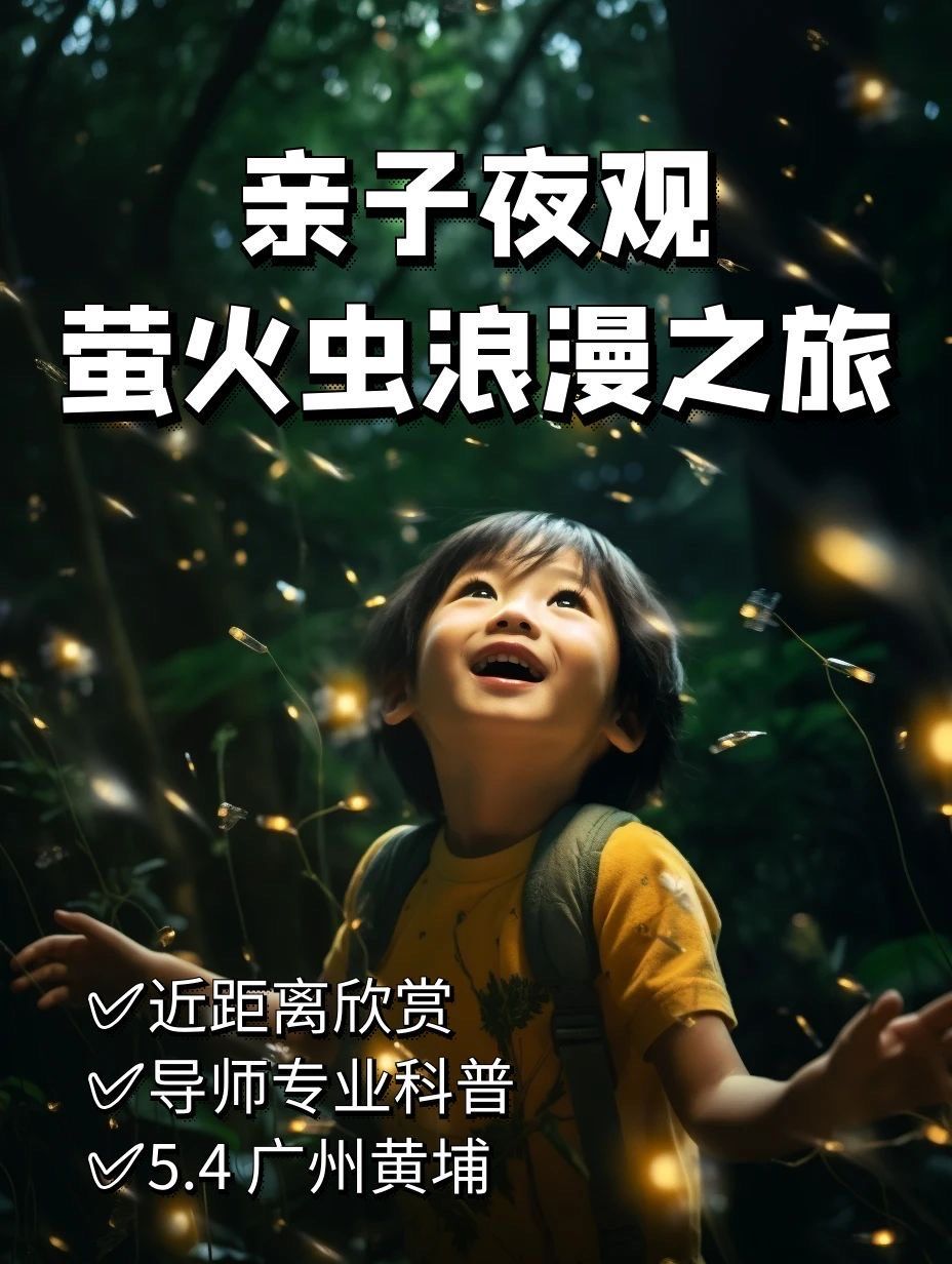 爱如潮水——视频图片大全的浪漫之旅