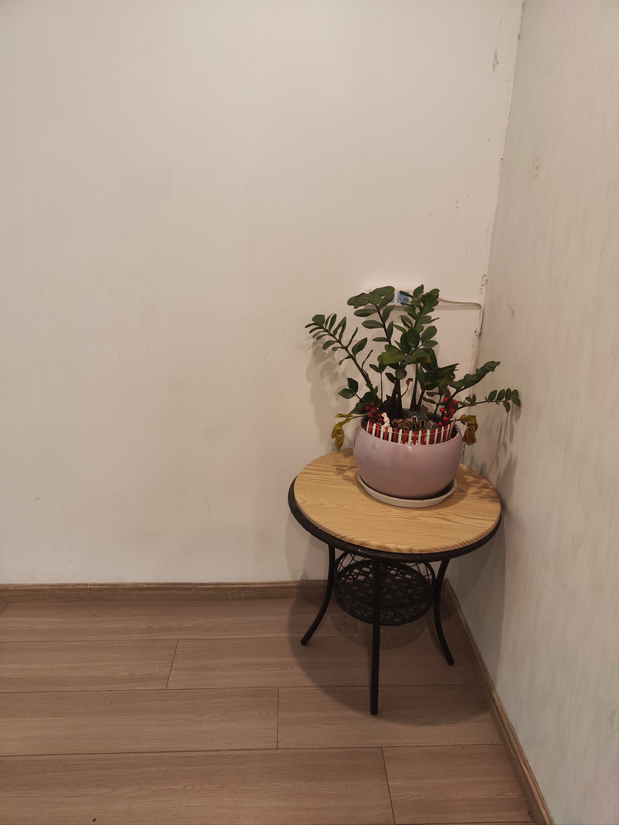 按摩师舌头进去添的我好舒服按摩师与我的独特体验-第3张图片