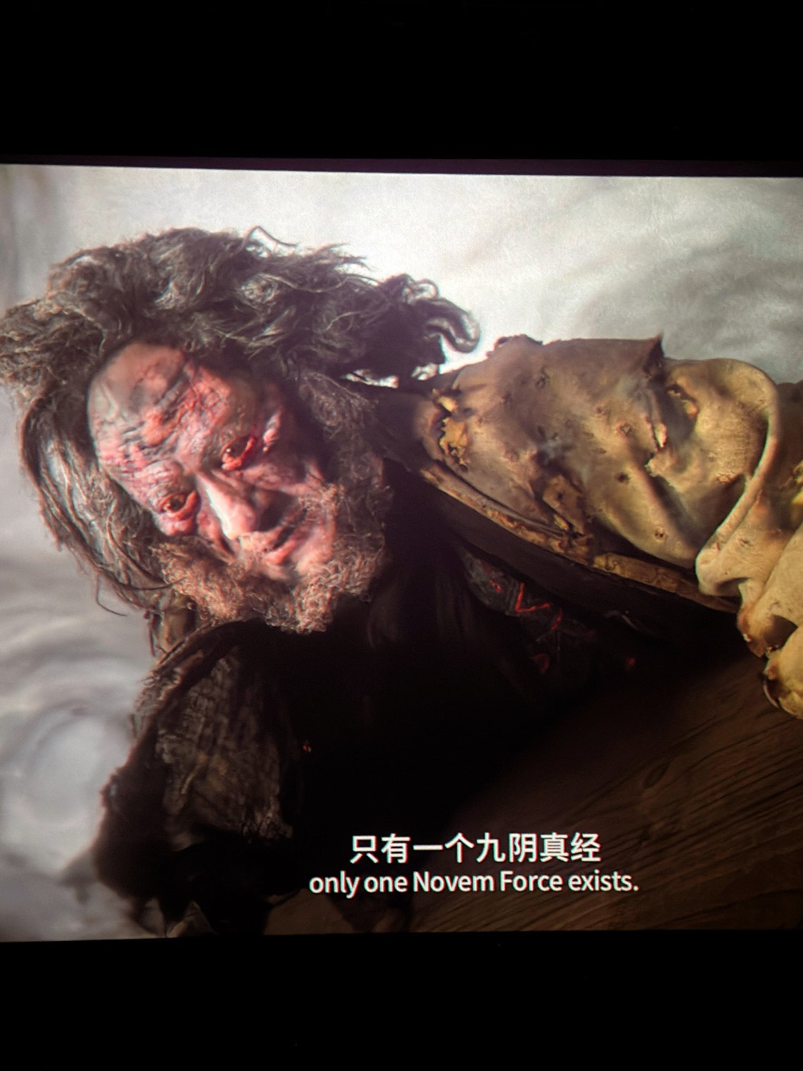 九阴真经丐帮蛇棍经脉九阴真经之丐帮秘传-第1张图片
