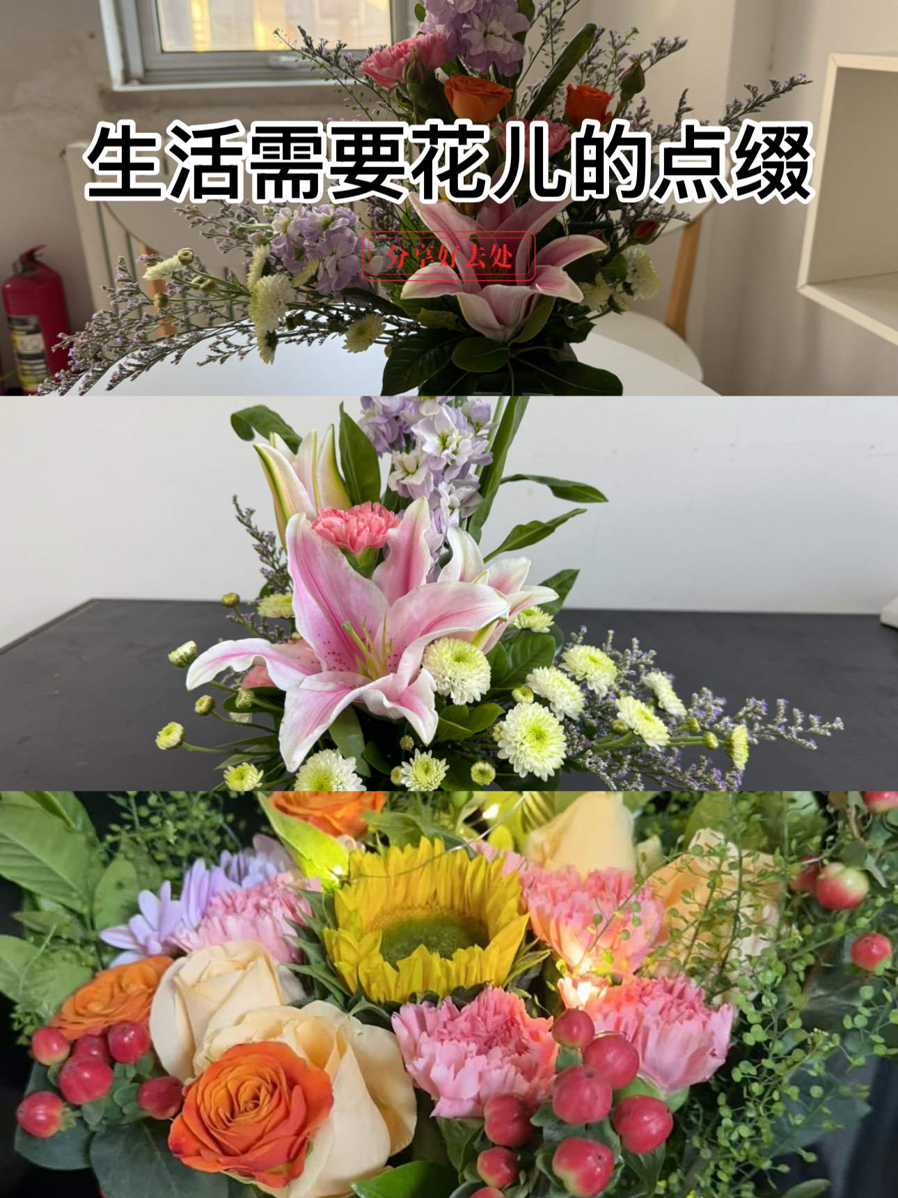 插花弄玉曲径通幽小说插花弄玉，曲径通幽——探寻艺术与生活的和谐之美