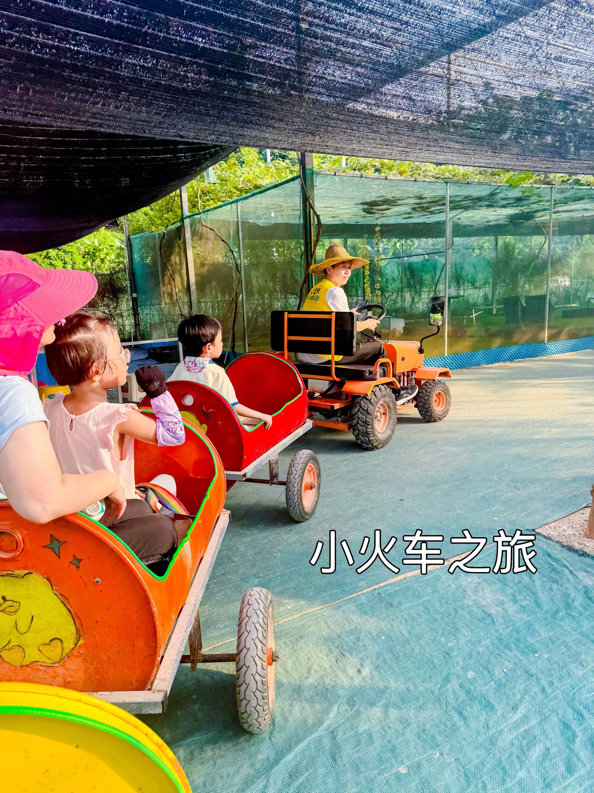 开心农场攻略，打造你的专属农场乐园-第3张图片