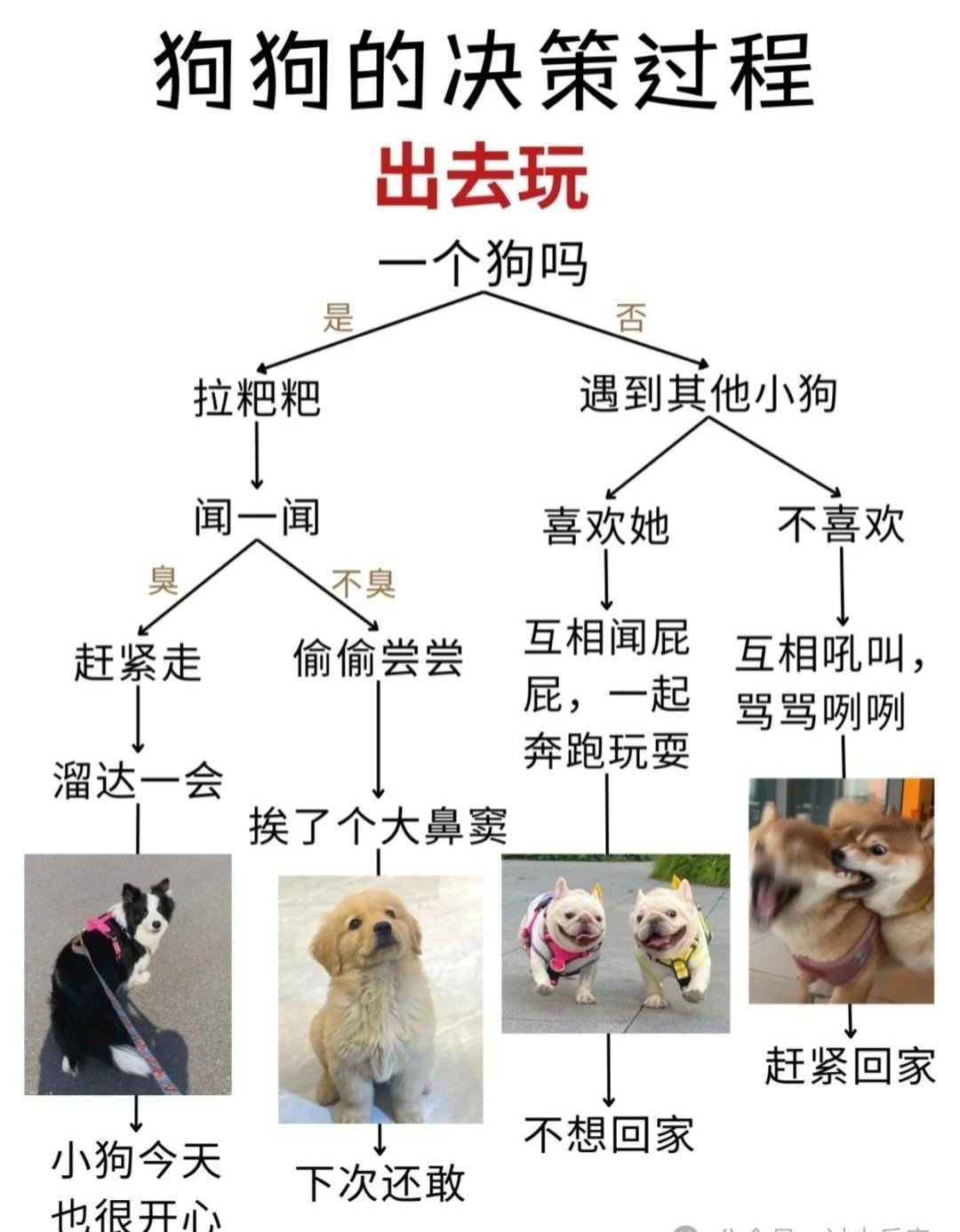 关于18岁末年禁止欢观看的深度思考-第3张图片