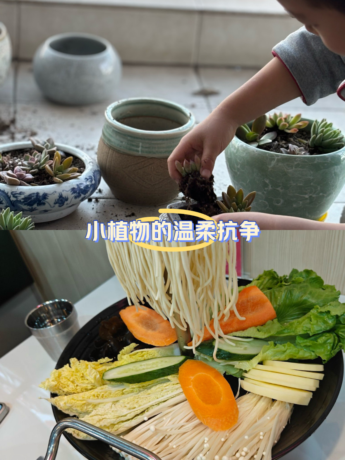 轻松享受健康生活，轻易蔬果的魅力-第3张图片