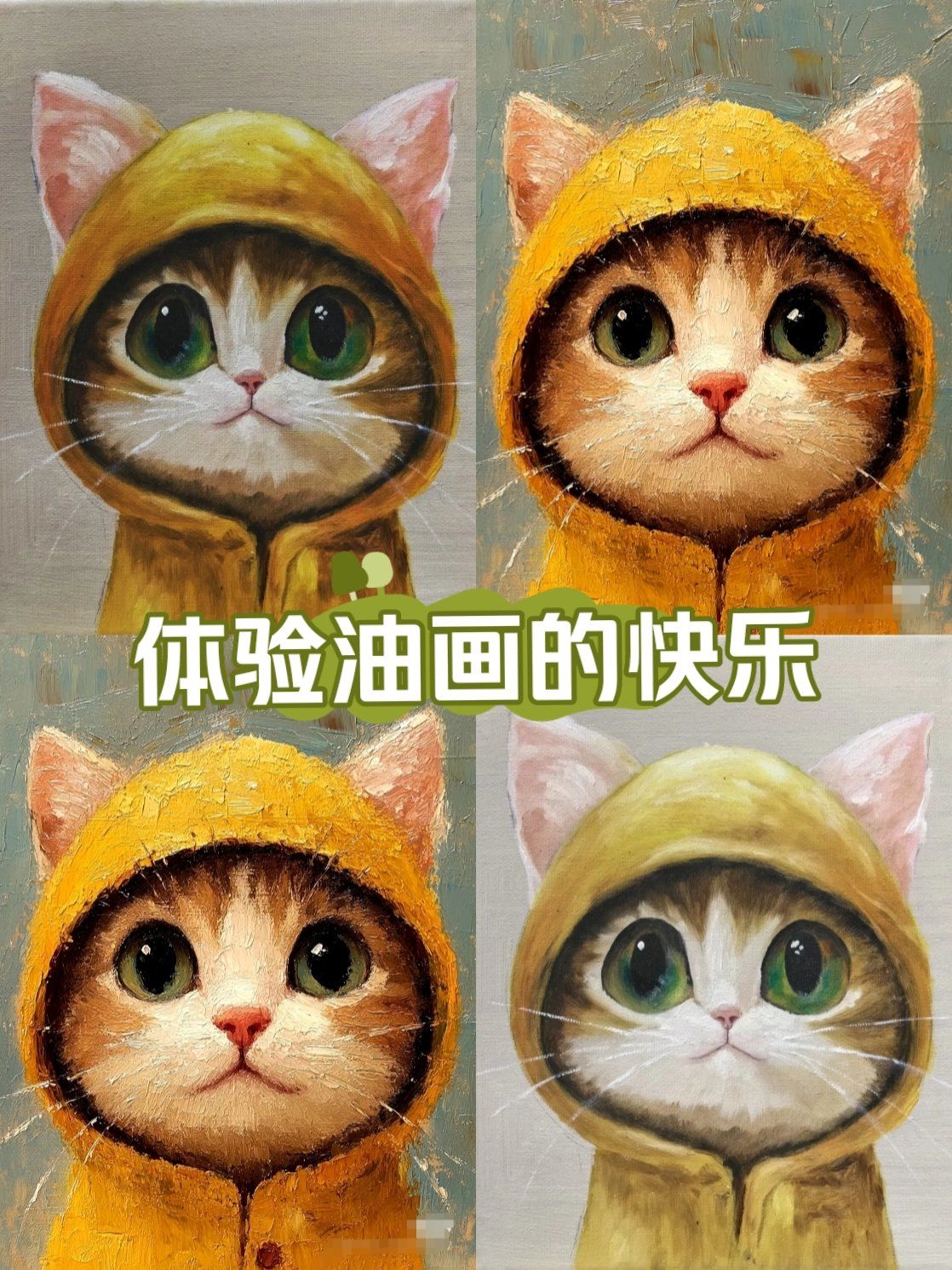 探索猫咪的魅力世界——高清视频在线社区体验-第1张图片