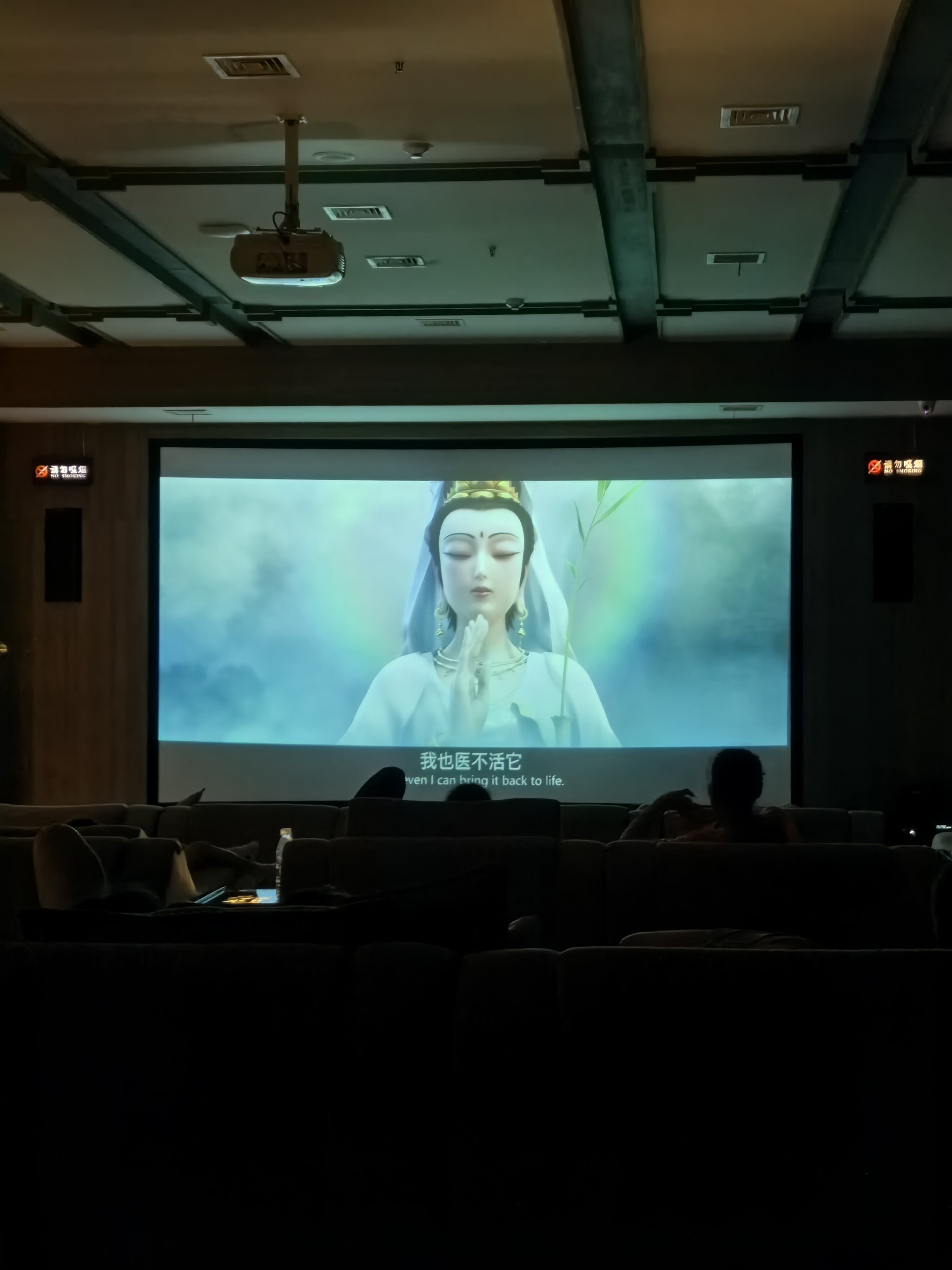 高端私人家庭影院，打造家庭娱乐新体验-第2张图片