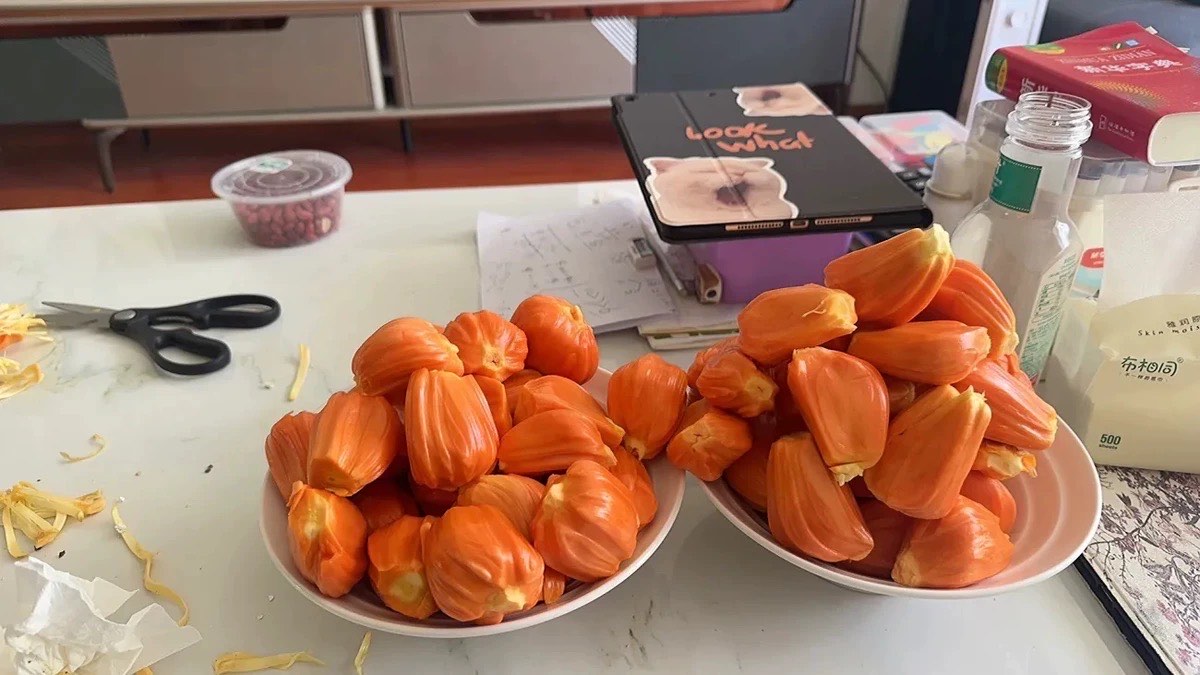 菠萝菠萝蜜视频在线观看免费高清体验-第3张图片