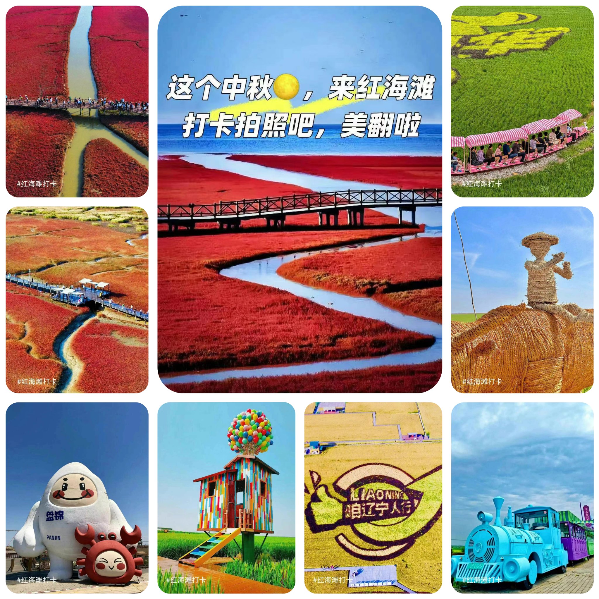 .www红色一片美国探索.www的红色之旅