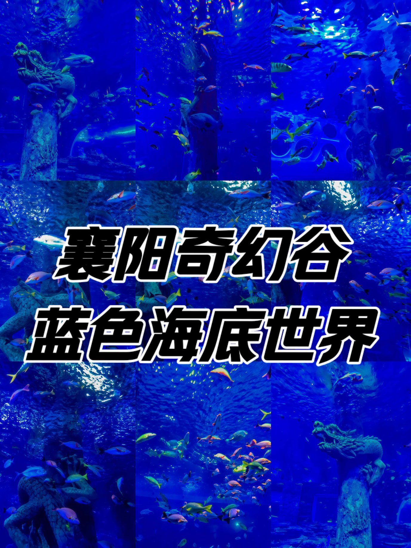 梦幻海底世界在哪里QQ梦幻海底世界辅助，探索与使用的双重面