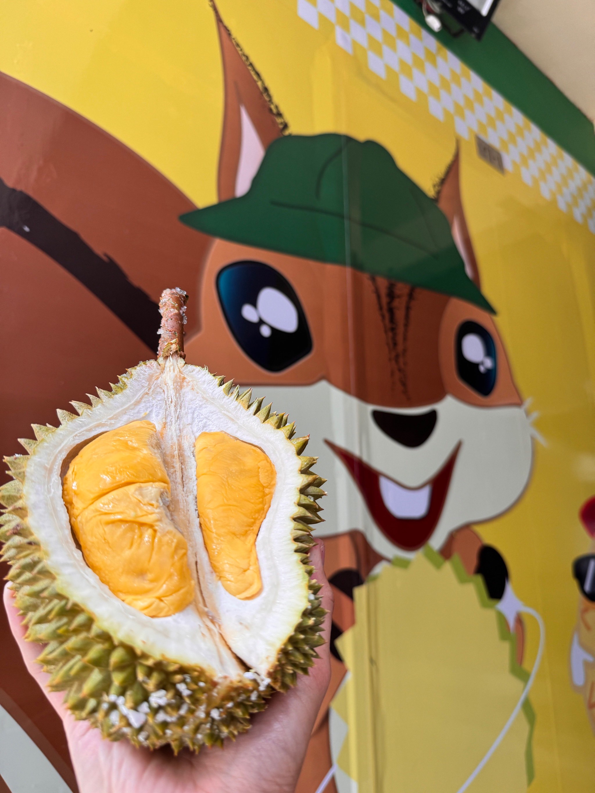 向日葵 黄瓜 榴莲向日葵、黄瓜、榴莲与丝瓜的奇妙美食之旅-第2张图片