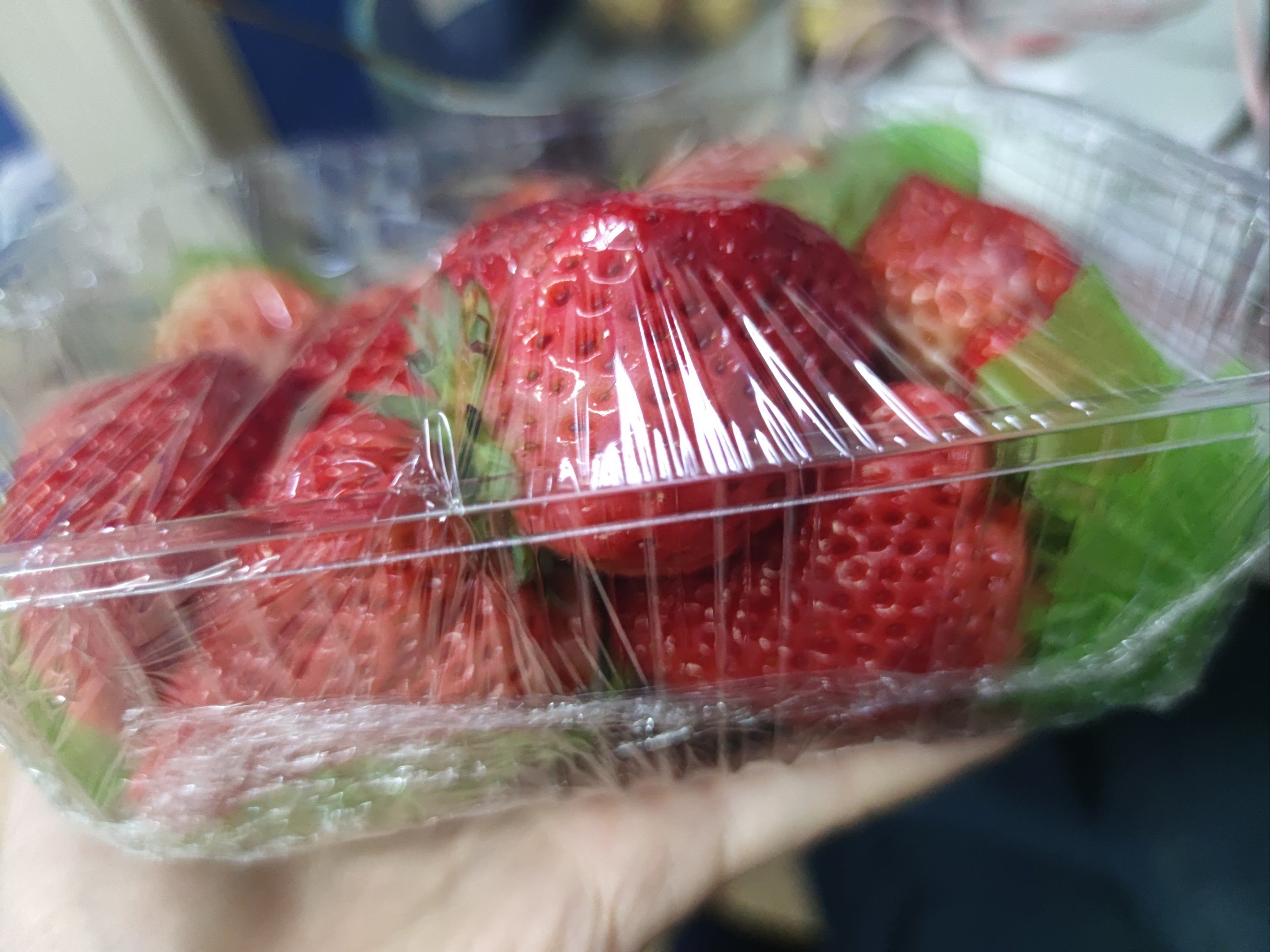 草莓直播，免费观看视频的乐趣之旅