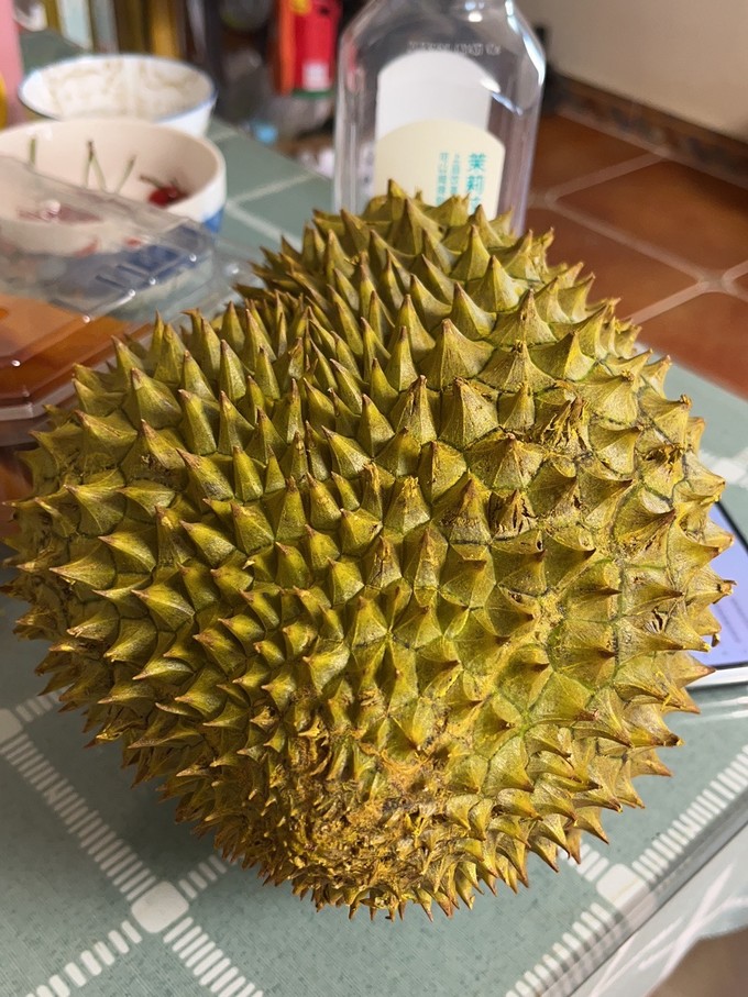 榴莲app免费下载汅api未满入内榴莲app免费下载 - 探索汅api的魅力，未满入内即享无限可能-第2张图片