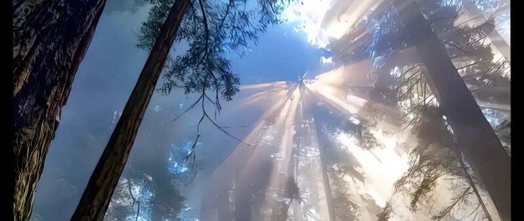 比比东吃唐三的棒比比东的独特味觉之旅，一次关于唐三棒的探索