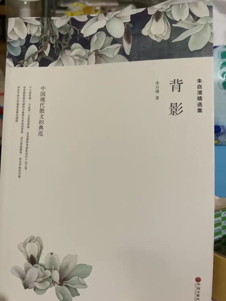 猜背影的说说猜背影，一段寻觅与回忆的旅程-第3张图片