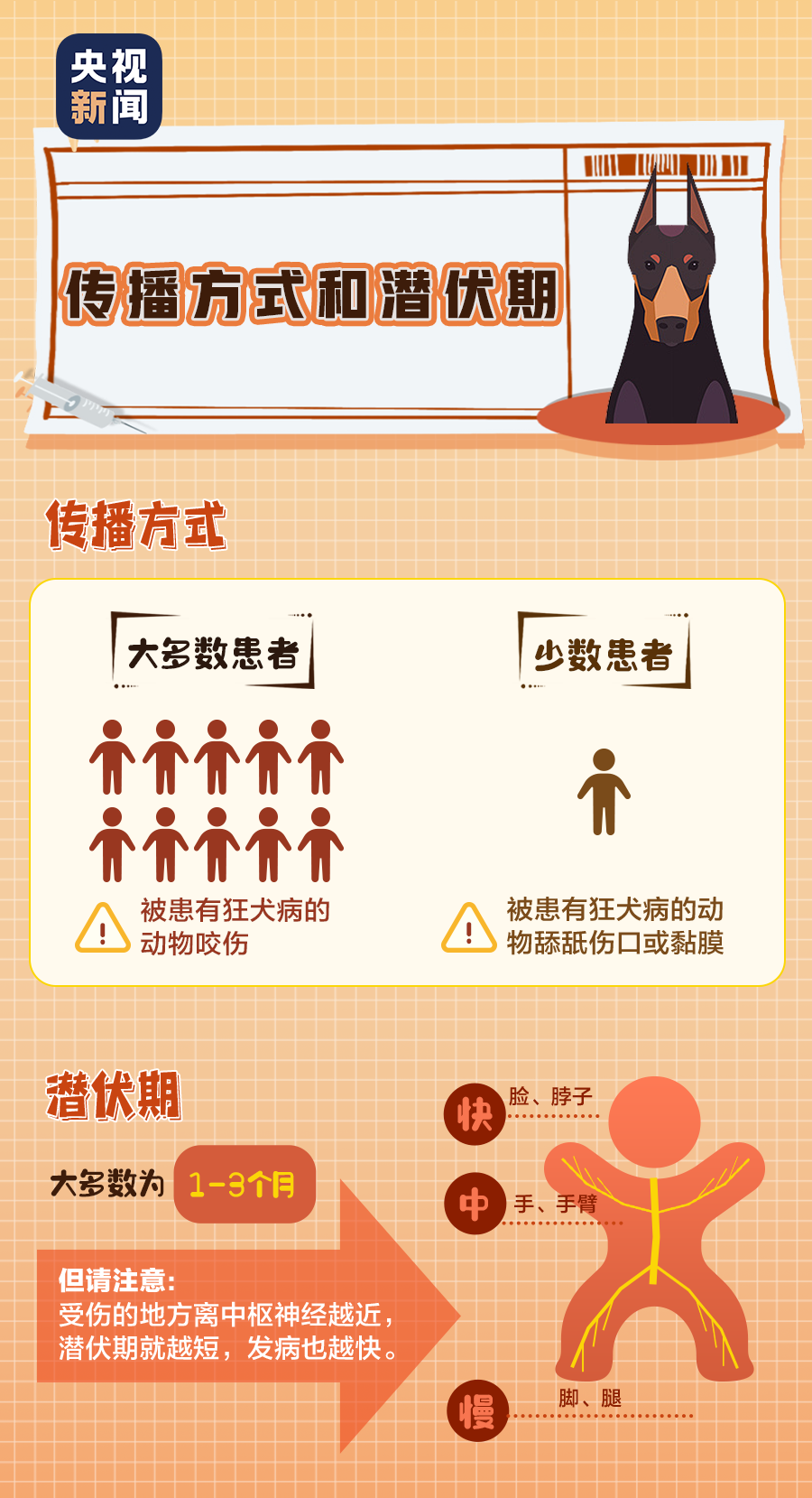 关于100种免费禁用的视频软件，了解其风险与真相-第2张图片