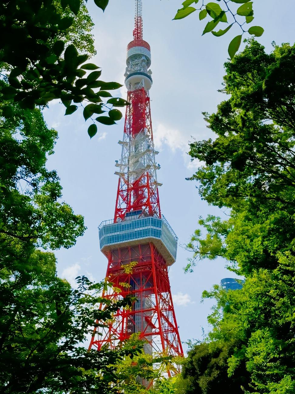 日本最新免费的一区二区探索日本最新免费的一区二区资源-第1张图片