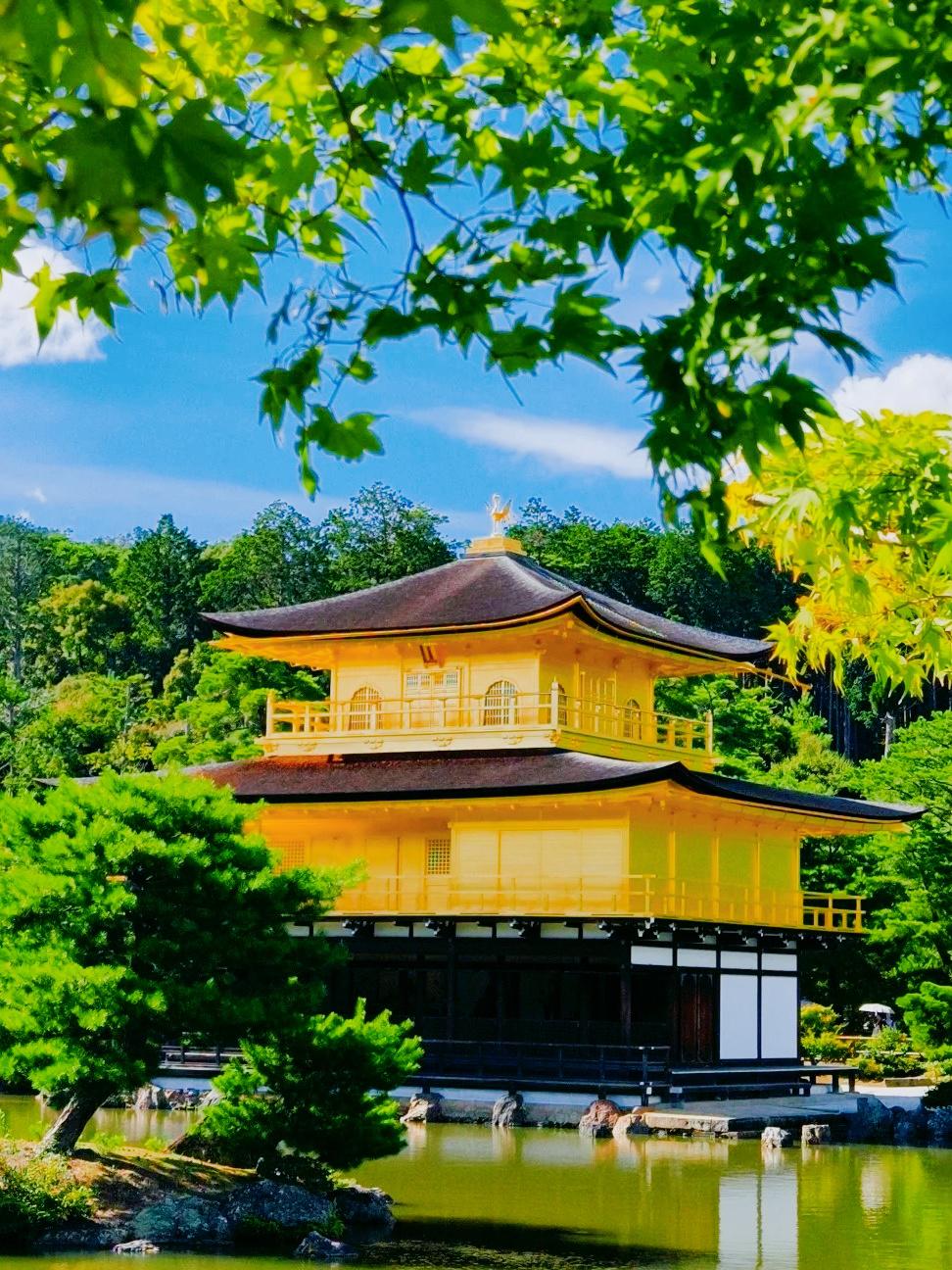 探索日本文化中的一道独特本