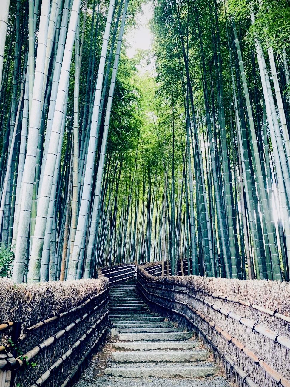 空城魅影空城魅影，幽深之地的神秘传说