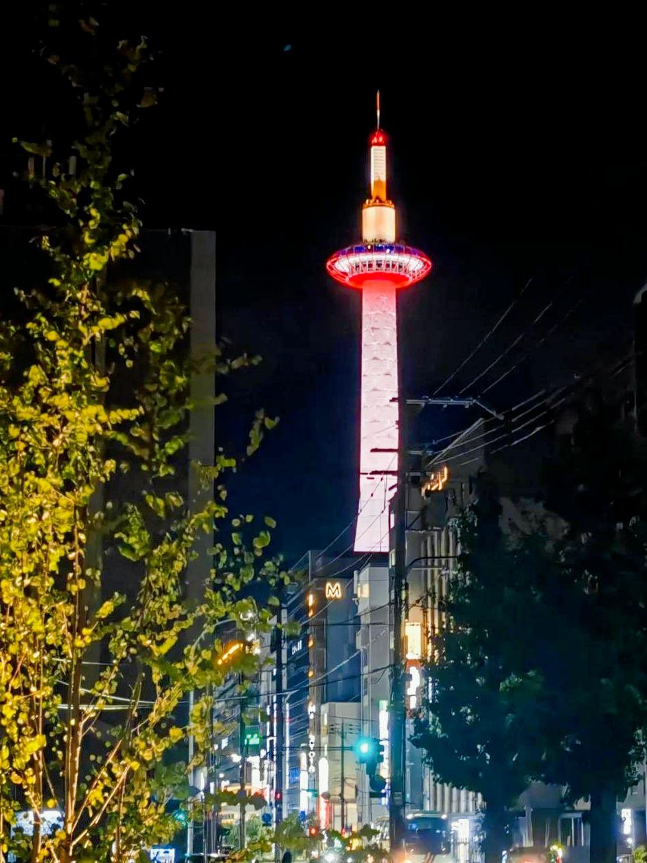 www.jjzz日本探索日本文化魅力——www.jjzz日本之旅
