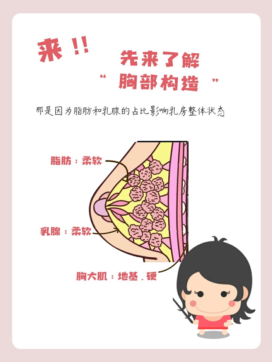 两个乳房一摸就疼怎么回事如何应对两只乳被揉后变得又大又硬的情况-第3张图片