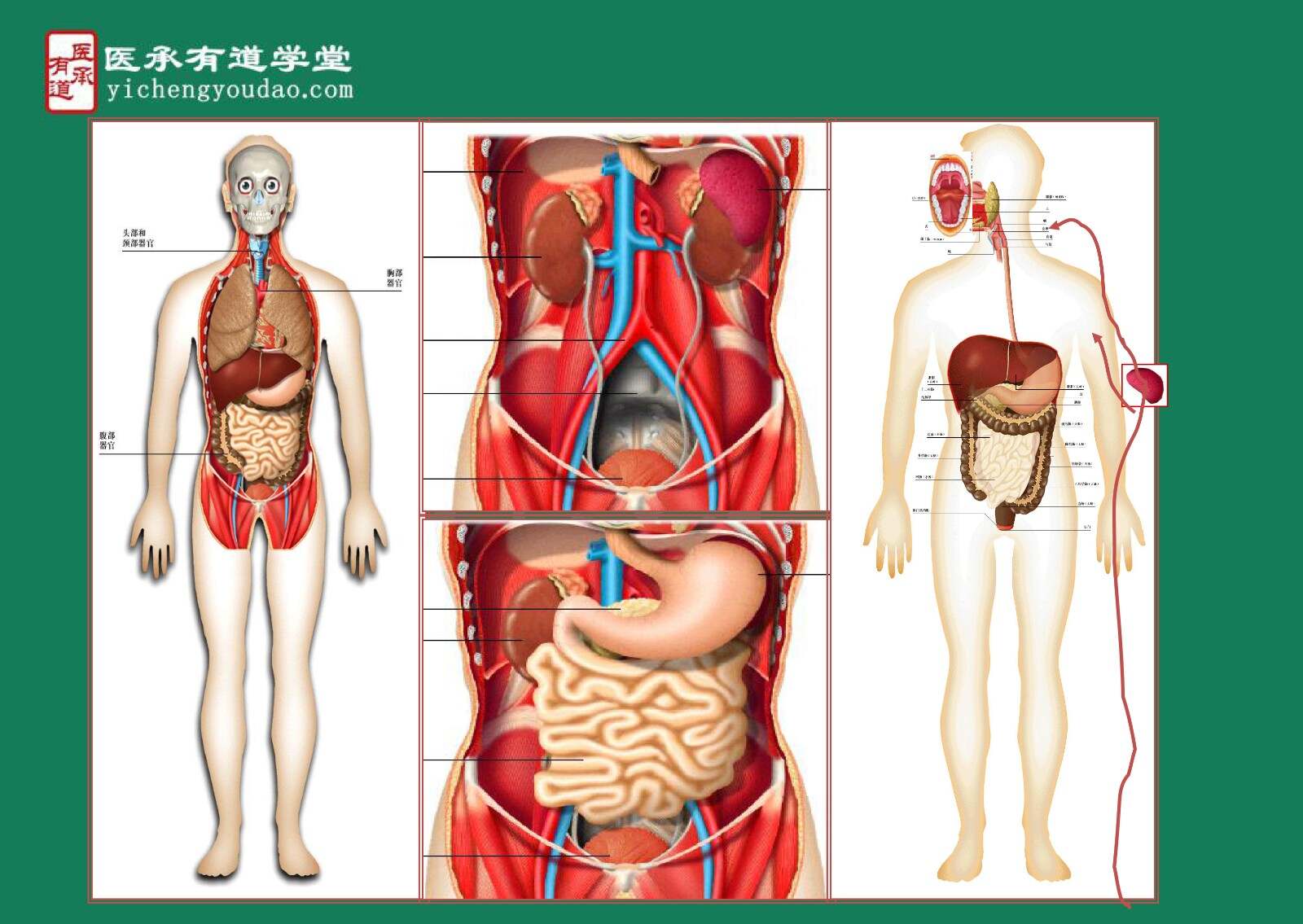 c点 位置图C点的位置与形态解析-第3张图片