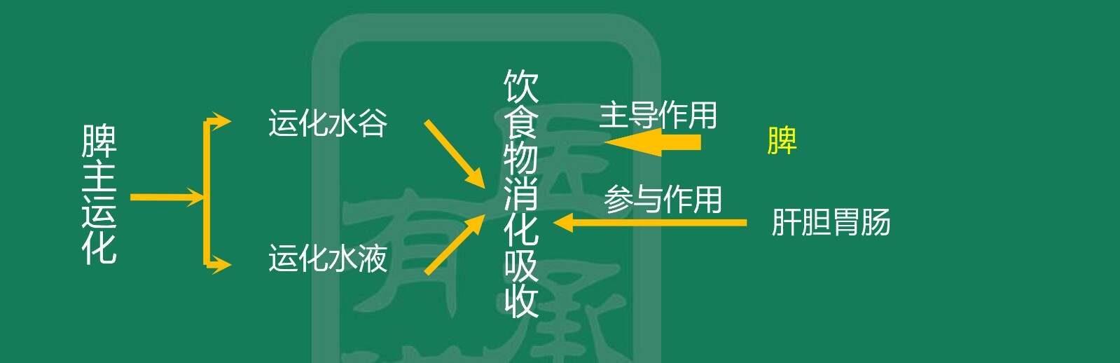 c点 位置图C点的位置与形态解析-第2张图片