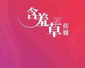 含羞草传媒app视频进入在线安装含羞草传媒网站，免费进入，在线观看行程时刻的绝佳选择-第1张图片