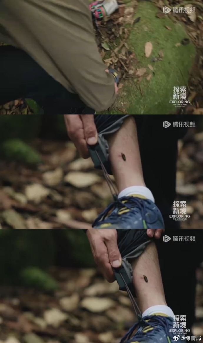 探索最新免费中文字幕手机在线观看体验-第2张图片