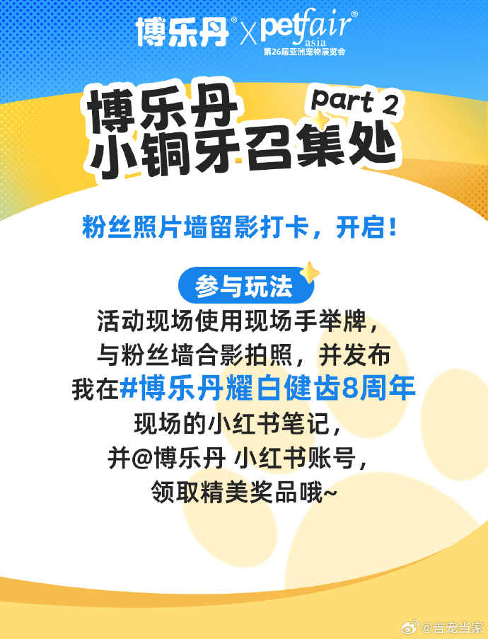 提灯与地下城宠物推荐探索奇幻世界，提灯与地下城宠物的奇妙之旅