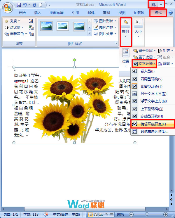 向日葵APP，免费站长统计工具的探索与IOS破解的误区-第3张图片