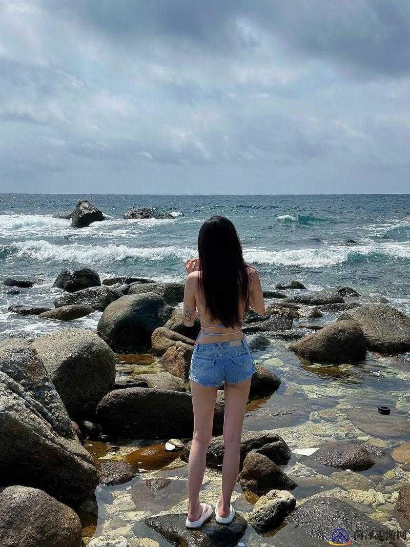 探索亚洲最大在线视频平台的无限魅力-第1张图片