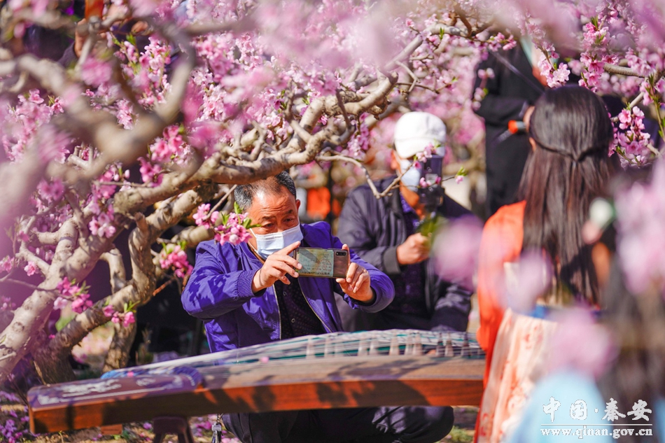 桃花视频在线观看播放直播桃花视频，在线观看、播放与直播的全新体验-第2张图片