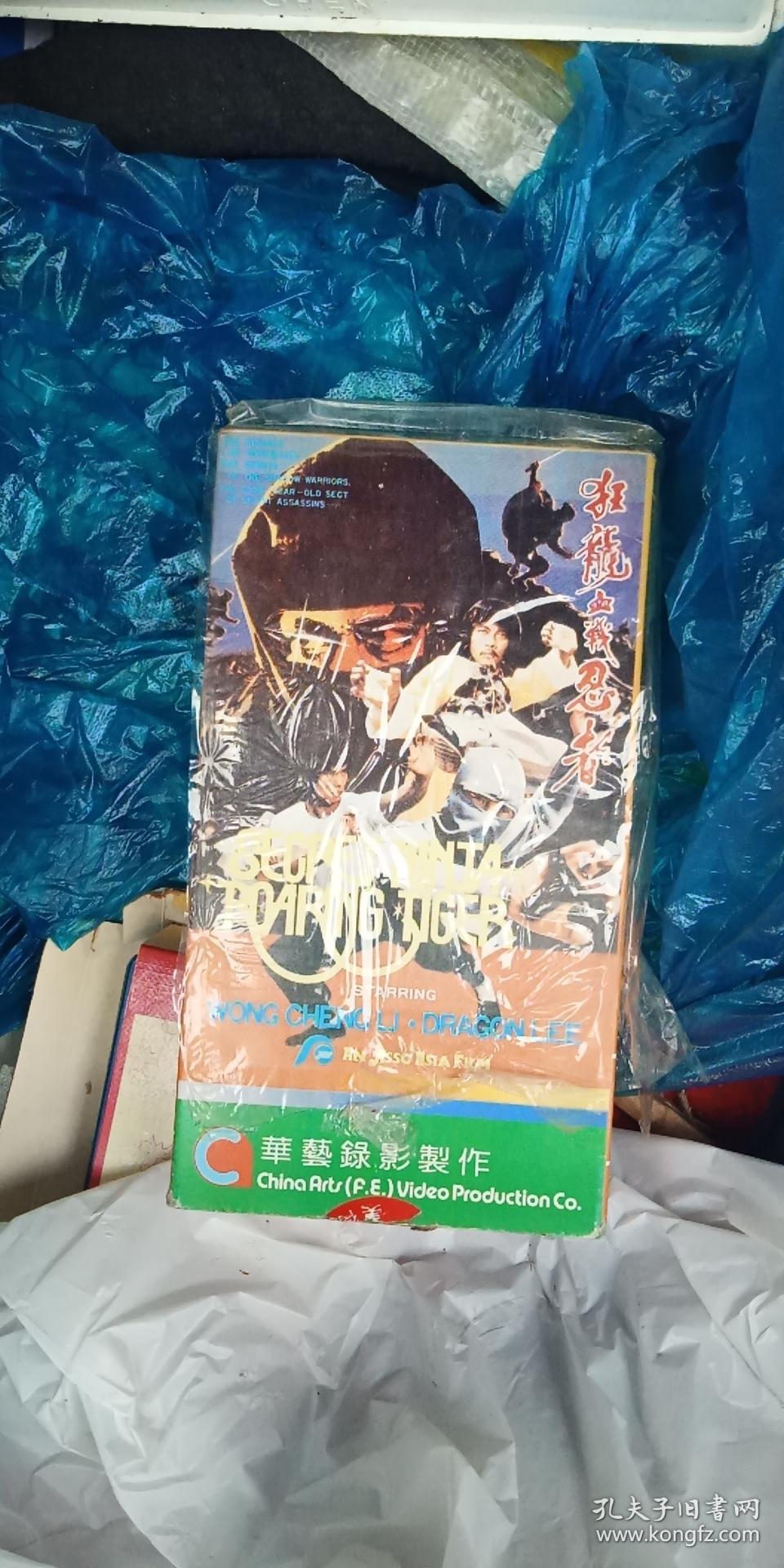 狂龙之吼狂龙之吼，震撼心灵的力量-第2张图片