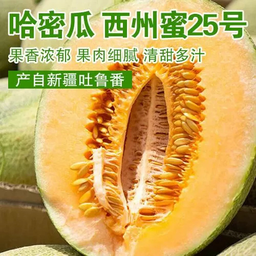 探索999精产国品一二三产区区的独特魅力-第1张图片