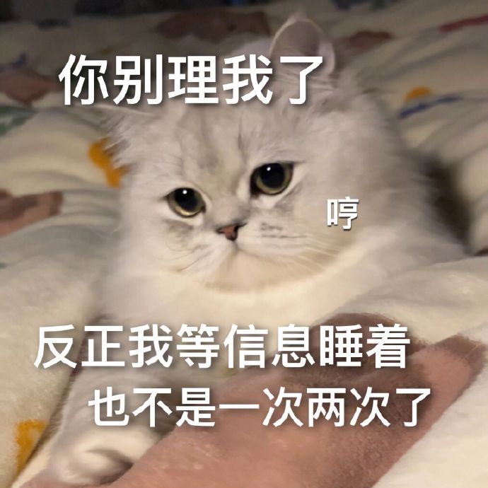 网络健康与道德的界限——以差差差很疼无掩盖30分钟网站为例-第3张图片