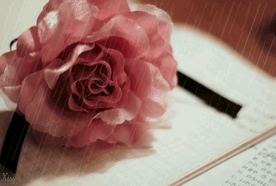 雨后故事三部曲——动态图中的情感与变化