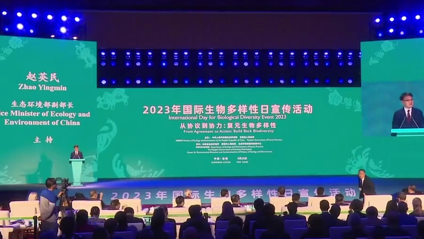 国产在线视频的多样性与一区特色-第2张图片