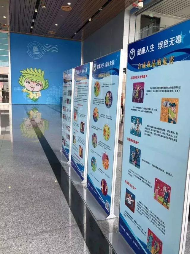 无毒成人论坛，构建健康网络交流的新平台