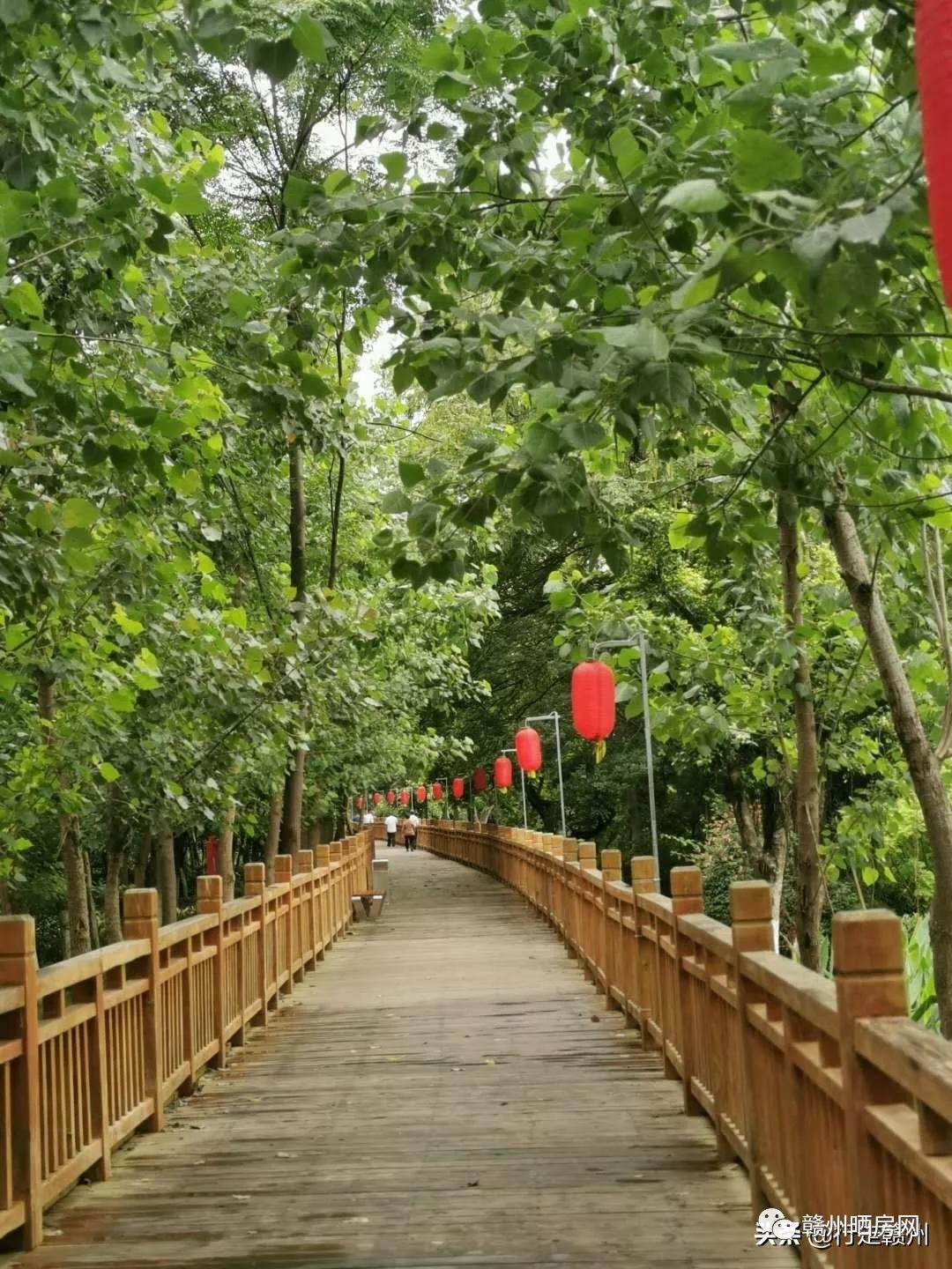 飞龙岛飞龙岛的神秘之旅-第2张图片