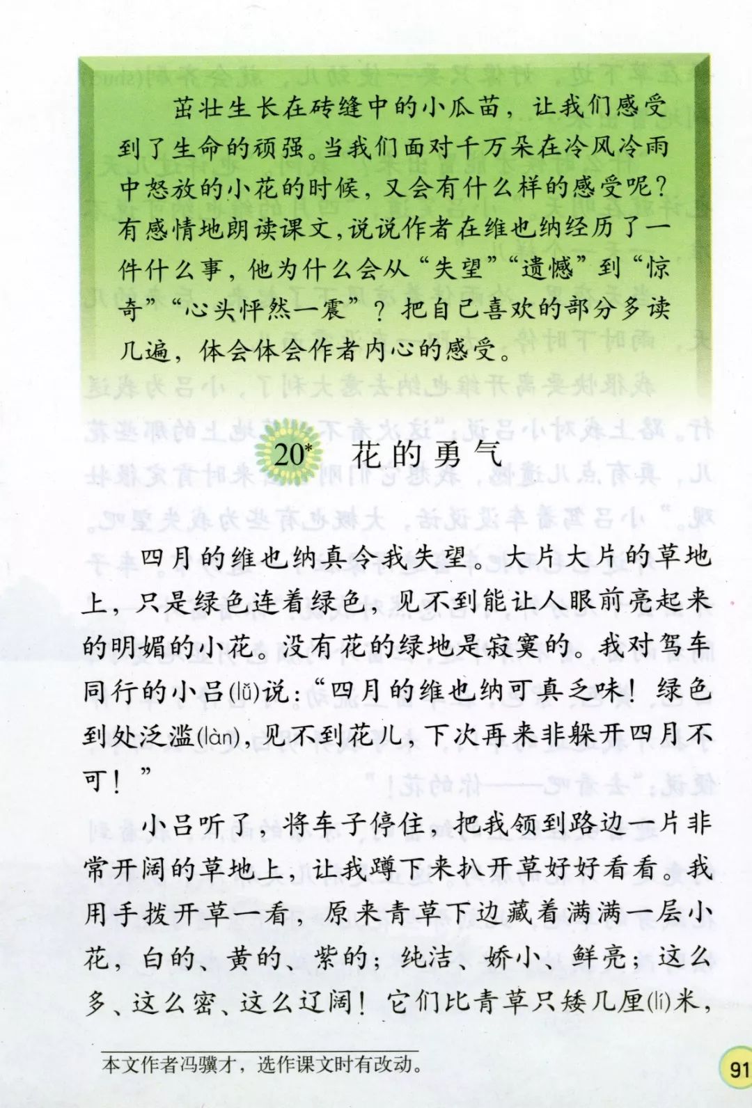 花蝴蝶经典片8——回忆那些年的美好时光-第2张图片